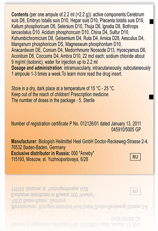 cerebrum dispersio ost