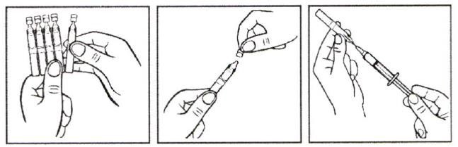 Picamilon injection instruction